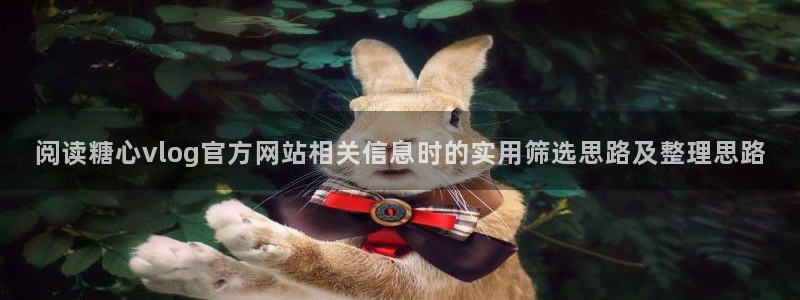 糖心vlog视频