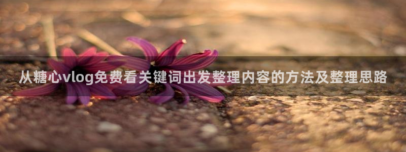 糖心vlog官方:从糖心vlog免费看关键词出发整理内容的方法及整理思路