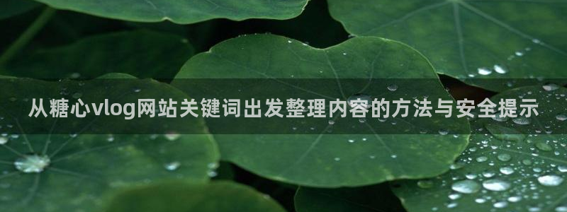 心糖logo
