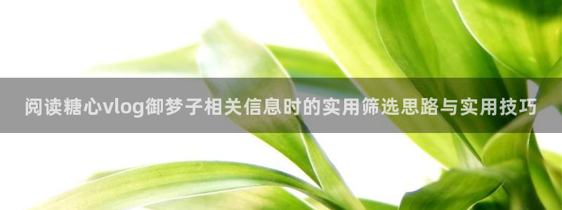 糖心vlogapp
