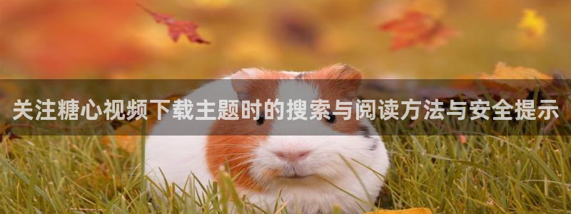 糖心少女logo：关注糖心视频下载主题时的搜索与阅读方法与安全提示