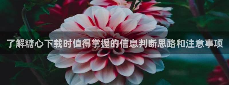 糖心入口:了解糖心下载时值得掌握的信息判断思路和注意事项