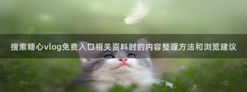 糖心vlog传媒：搜索糖心vlog免费入口相关资料时的内容整理方法和浏览建议