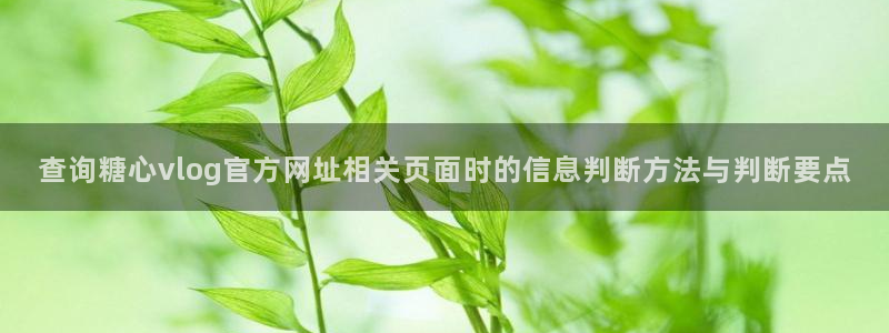 糖心视频免费：查询糖心vlog官方网址相关页面时的信息判断方法与判断要点