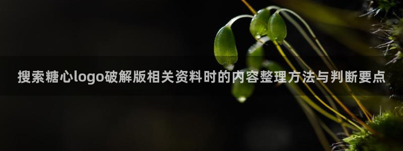 糖心vlog在线免费看:搜索糖心logo破解版相关资料时的内容整理方法与判断要点