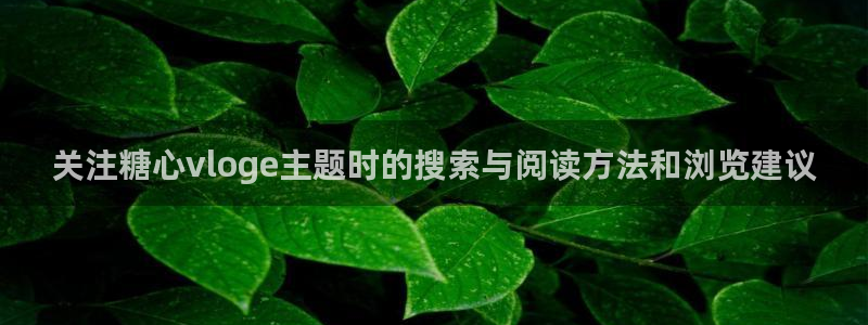 糖心vlog传媒：关注糖心vloge主题时的搜索与阅读方法和浏览建议
